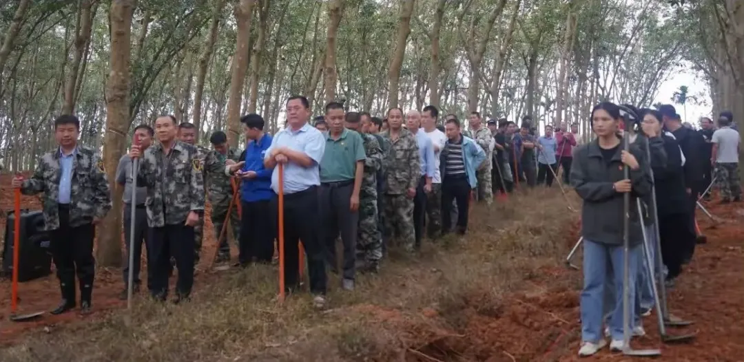 29f697dff9194d7fbbcac0028a967124