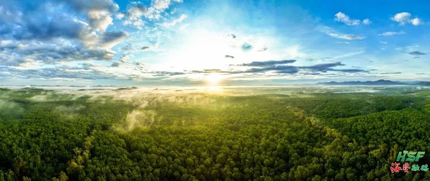 37659ec641c8405cb798a8c131c1fccd