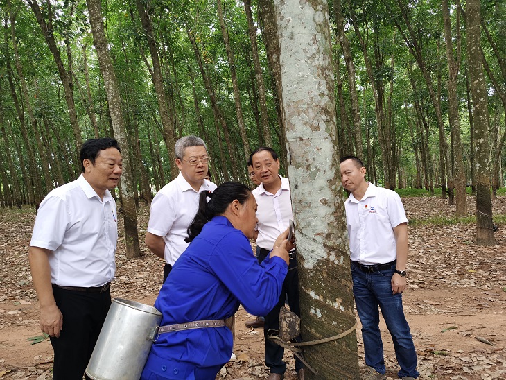 首页|尊龙人生就是博官网入口