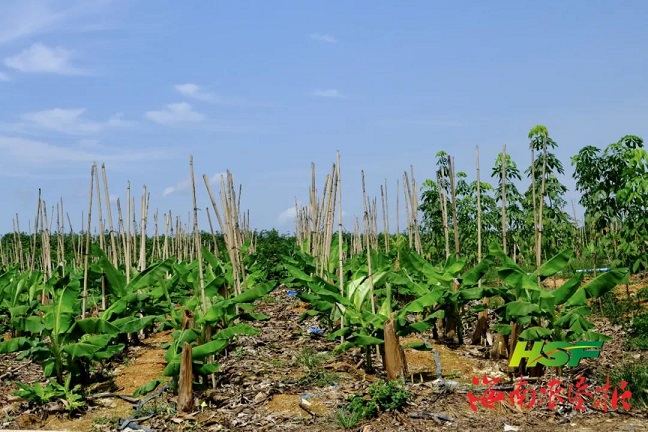 首页|尊龙人生就是博官网入口