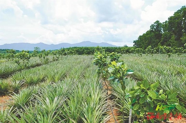 首页|尊龙人生就是博官网入口
