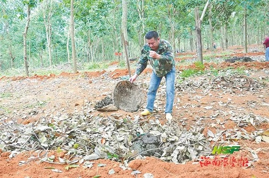 首页|尊龙人生就是博官网入口