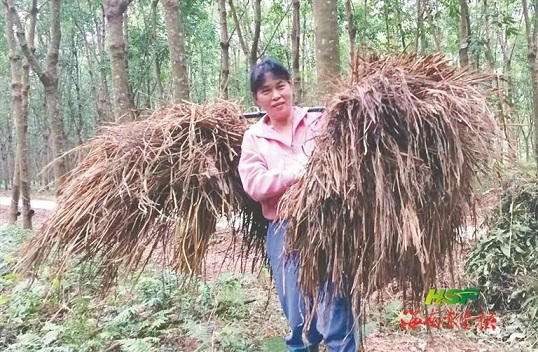 首页|尊龙人生就是博官网入口