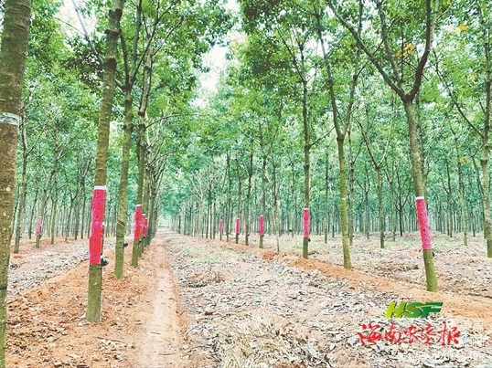 首页|尊龙人生就是博官网入口