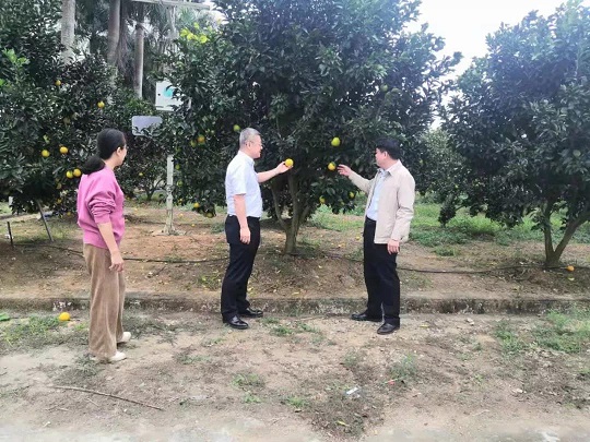 首页|尊龙人生就是博官网入口