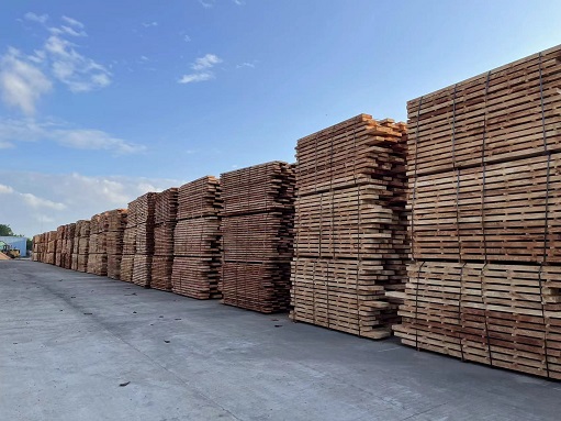 首页|尊龙人生就是博官网入口