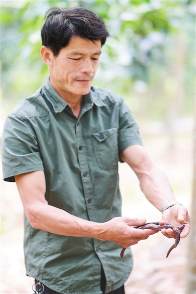 首页|尊龙人生就是博官网入口