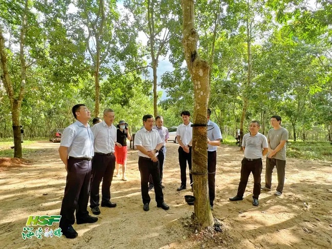 首页|尊龙人生就是博官网入口
