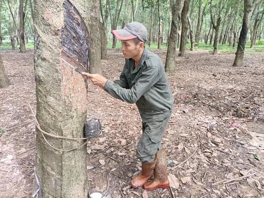 首页|尊龙人生就是博官网入口
