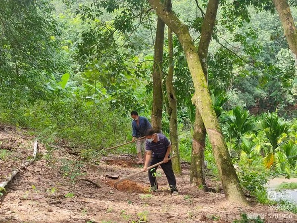 首页|尊龙人生就是博官网入口