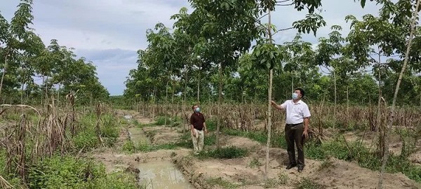 首页|尊龙人生就是博官网入口