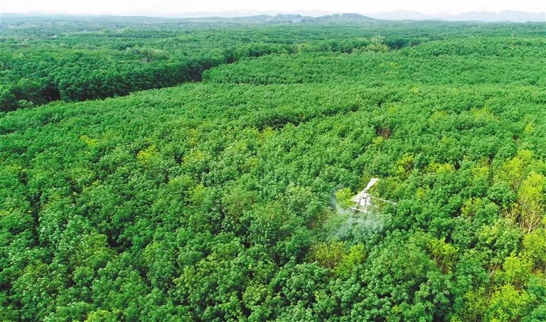 首页|尊龙人生就是博官网入口