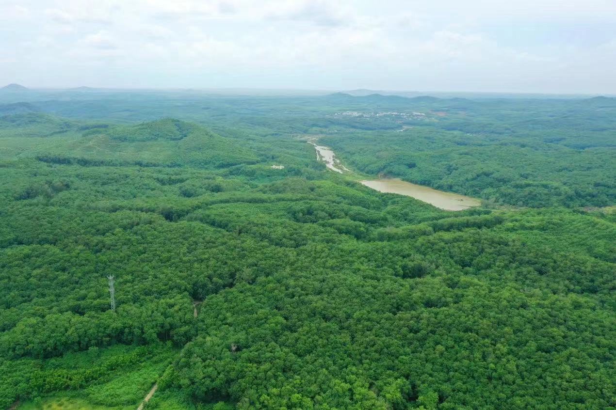 首页|尊龙人生就是博官网入口