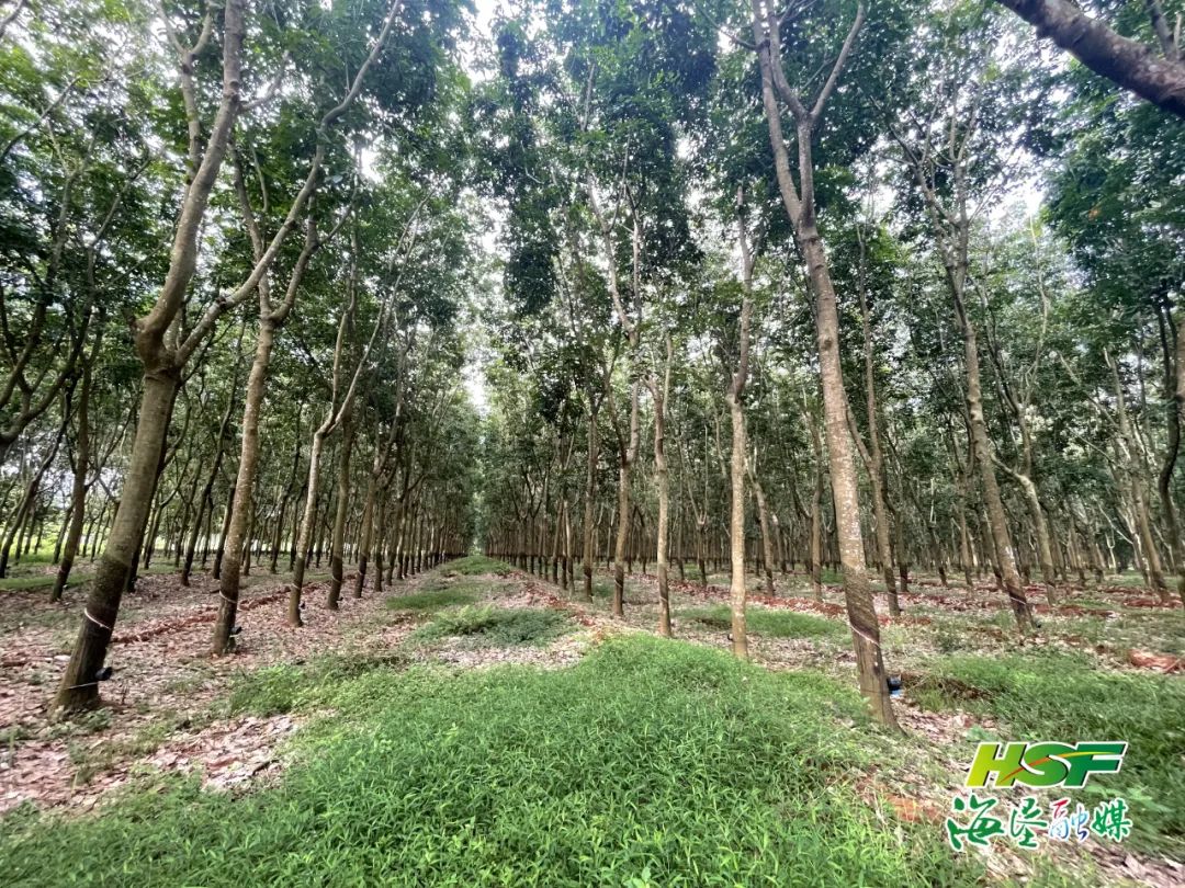 首页|尊龙人生就是博官网入口