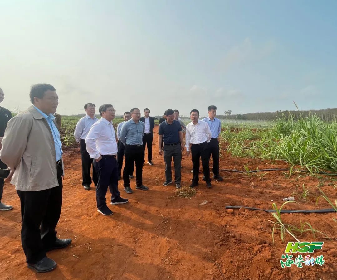 首页|尊龙人生就是博官网入口