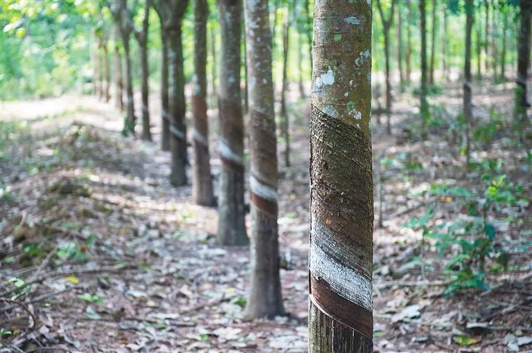 首页|尊龙人生就是博官网入口