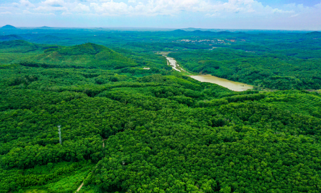 首页|尊龙人生就是博官网入口