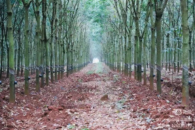 首页|尊龙人生就是博官网入口