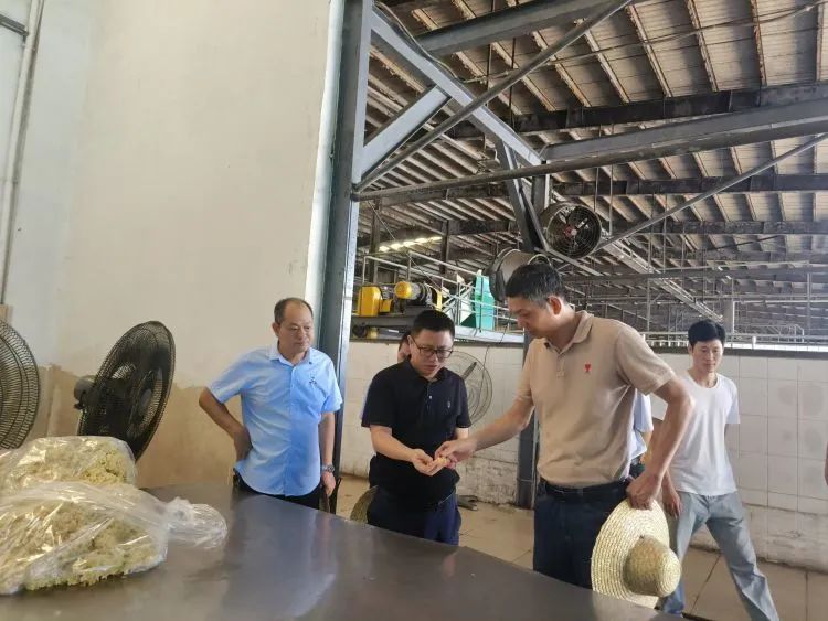 首页|尊龙人生就是博官网入口