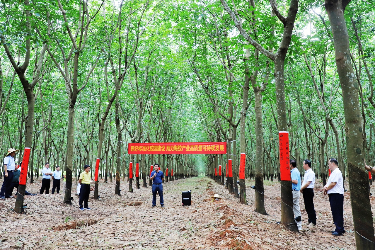 首页|尊龙人生就是博官网入口