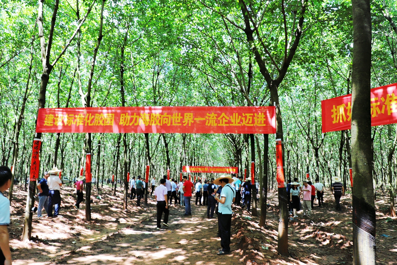 首页|尊龙人生就是博官网入口