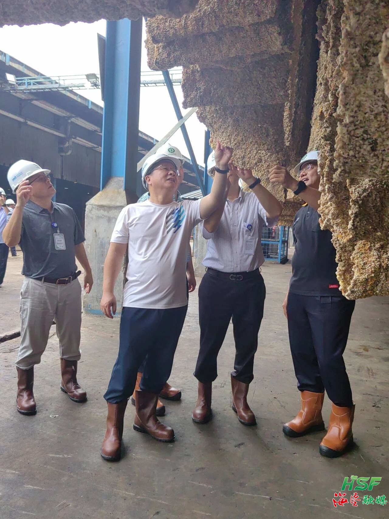 包洪文一行调研合盛农业SGO加工厂。！！！