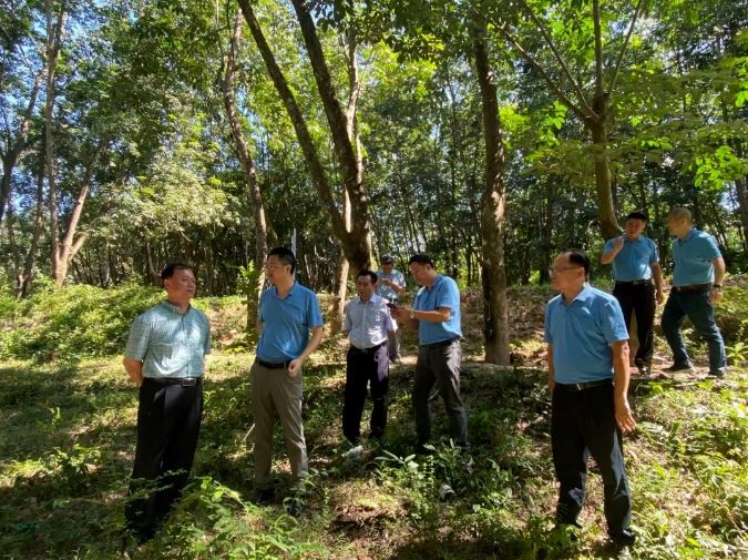 首页|尊龙人生就是博官网入口
